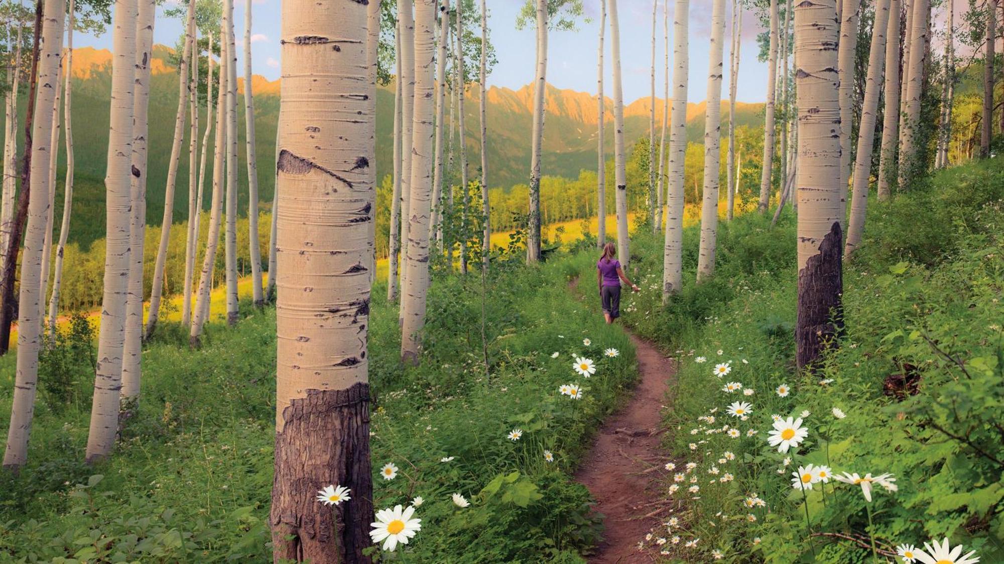 Lift House Lodge, Vail Lionshead Studio Condo, Walk To Gondola Экстерьер фото
